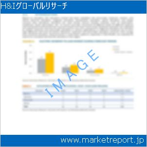 市場と産業調査レポートのイメージ